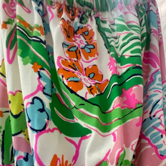 Lily Pulitzer Neon Maxi Bandeau Dress - Picture 3 of 4